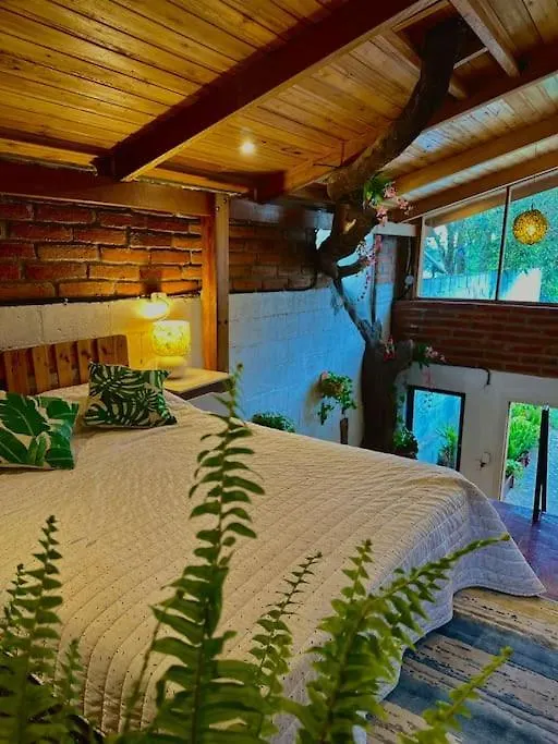 Casa Del Arbol - Mitad Del Mundo Appartement Quito 0*,  Ecuador